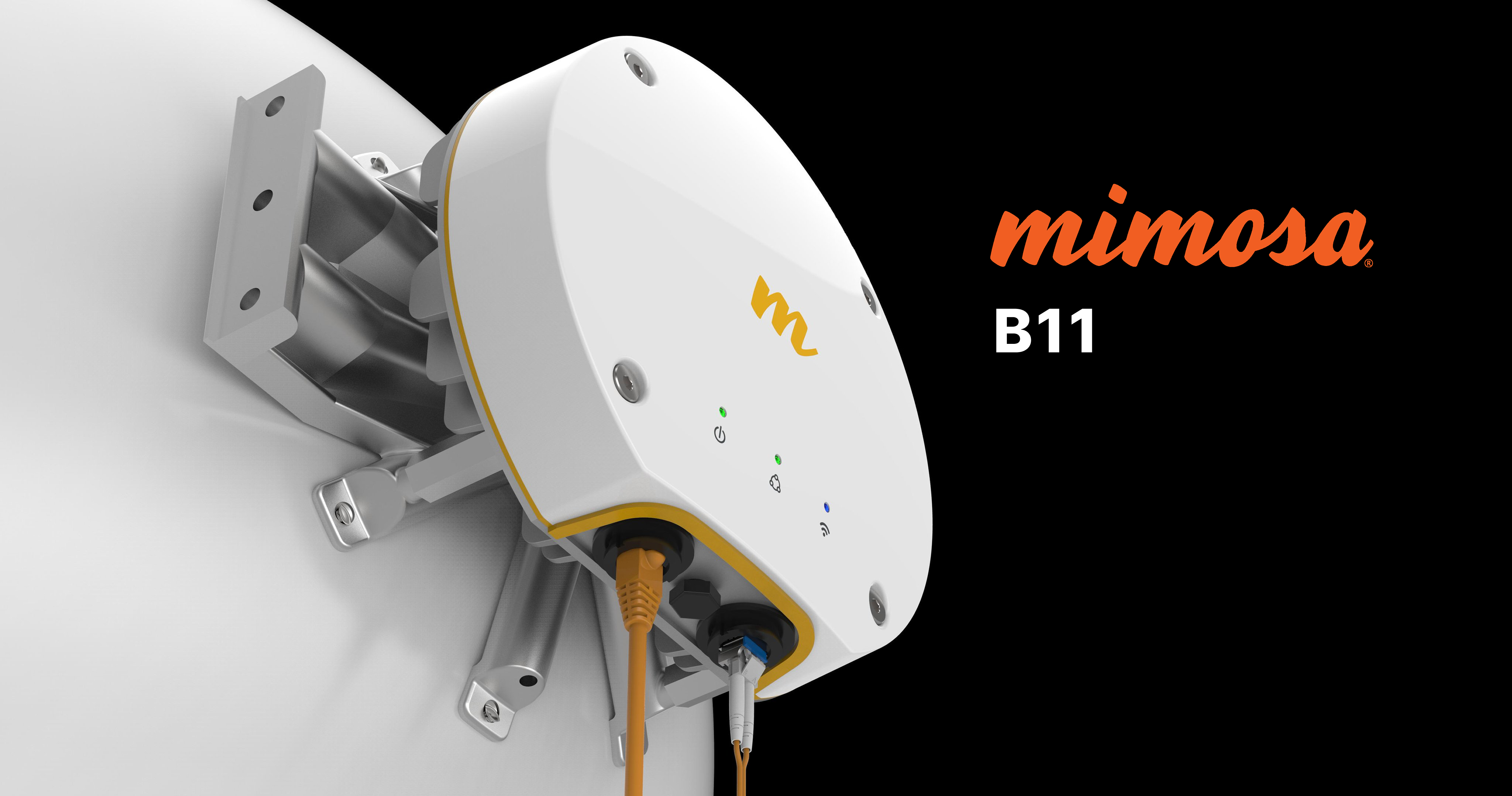 Mimosa B11